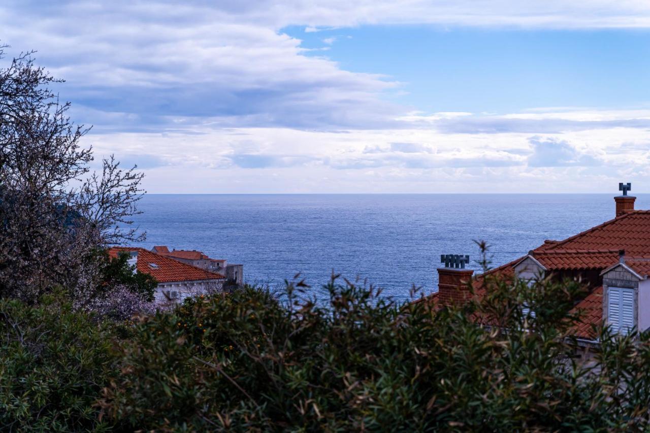 Apartment Aurelya Dubrovnik Buitenkant foto
